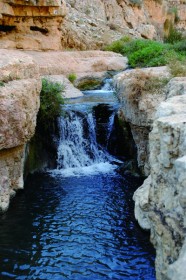 ג'יפים, אופניים ותוכן | מדבר יהודה  