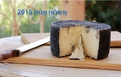 משלוח מנות 2015